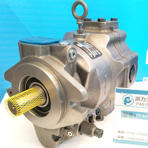 Pompe hydraulique Pailis PAVC100R4222 à cylindrée variable en fonte, horizontale, monophasée - Product Image 3