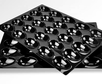 Plateau à fruits en plastique jetable personnalisé à 9, 25, 28, 30, 40 trous, en PP noir, blister en PET, plateau en plastique pour kiwi/pitaya pour supermarché