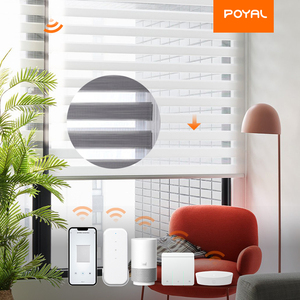 Zebra jaluzi <span class=keywords><strong>Motor</strong></span> karartma tonları akıllı Wifi kontrolü ile rulo - Product Image 5