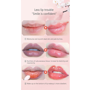 Propóleos labio máscara hidratante desalinizar líneas del labio Anti-seco evitar agrietamiento labios máscara - Product Image 4
