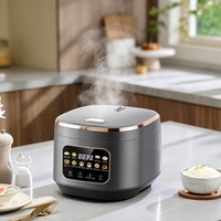 Cuisinière à riz intelligente en acier inoxydable 3L de style moderne avec 10 modes, contrôle tactile, programmation 24h et maintien au chaud