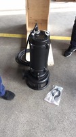 Aikon 3HP Pompe submersible monophasée pour eaux usées de conception compacte Utilisation dans le sous-sol pour l'élimination des liquides Matériau en acier inoxydable et en fonte