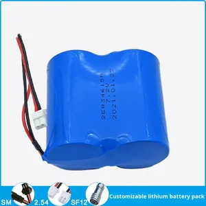 Ультразвуковой уровнемер ER34615, электрический газовый счетчик, расходомер, IoT-локатор, аккумуляторный блок 19А, Китай - Product Image 3