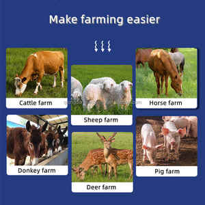 Mélange d'aliments pour animaux, mélangeur Horizontal d'herbe de volaille, <span class=keywords><strong>prix</strong></span> en vente - Product Image 2