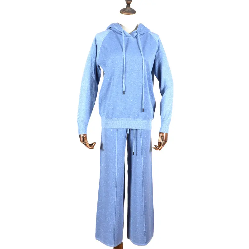 Autumn Spring Sky Blue Casual Comfortable Ladies Track Suit Women's Hoodies & Sweatshirts Suit 2 Piece Set Wholesale