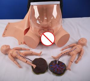 Simulador de Parto y Emergencias Maternas y Neonatales para Entrenamiento de Enfermería, Simulador de Habilidades de Parto - Product Image 2