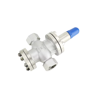 Yeni tasarlanmış paslanmaz çelik dişli basınç düşürücü vana ayar kontrol vanası - Product Image 4