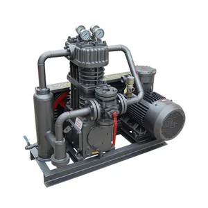 High Efficiency Piston Diaphragm Oil Free Industrial Biogas Compressor