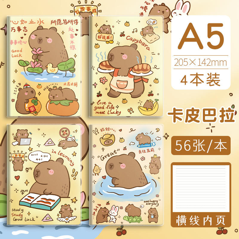 A5 kabipbala (56 photos)