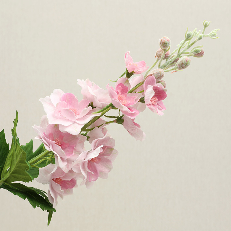Rose2