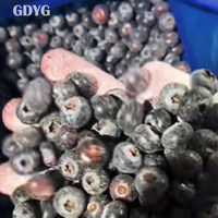 Exportkwaliteit diepvriesfruit zonder toevoegingen OEM Private Label stabiele volle containerlevering/premium IQF diepvries zwarte bessen