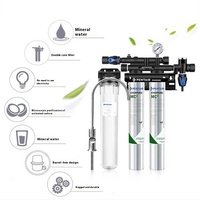 Aihuipu (Everpure) US MC2 Double purificateur d'eau commercial pour la filtration directe du lait, du thé et des cafés pour la voiture