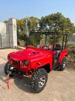 Willys Jeep 250cc Essence/Gasoline 351-450hp Couleur personnalisée Buggy tout-terrain Go Kart pour adultes