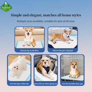 Vente directe d'usine petites commandes bienvenue coussin de dressage de <span class=keywords><strong>chien</strong></span> à séchage rapide pour une utilisation intérieure et extérieure coussin de pipi jetable pour animaux de compagnie - Product Image 4