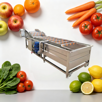 Hete Aanbieding Nieuwe Industriële Multifunctionele Belletjesreinigingsmachine voor Groente- & Fruitverwerkingsbedrijven