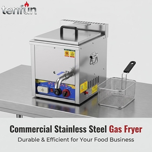 Friteuse à gaz professionnelle à contrôle thermostatique en acier inoxydable avec panier 10L pour poulet frit, frites et snack-bars - Product Image 1