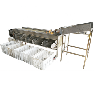 Factory Price Date Palm Olive Orange Grape Hawthorn Fruit Size Sorting <b>Machine</b> - Product Image 4