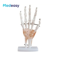Levao — modèle articulé automatique, avec cravates pour les genoux, les mains, les pieds, les hanches, les épaules et les coudières