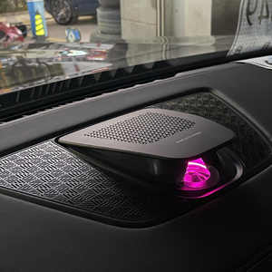 Couverture décorative pour haut-parleur LED, lampe d'ambiance pour BMW X5 X7 G05 G07 2018-2024, éclairage d'ambiance pour voiture - Product Image 4