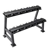 Support de rangement pour haltères de qualité professionnelle à 2 niveaux, capacité de 124 paires, avec berceau en caoutchouc