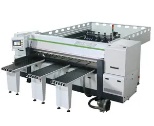 Automatische Elektrische Vergeldende Beam Zag Houtbewerking Machines Hoge Precisie Automatische Voeden Computer Cnc Panel Saw