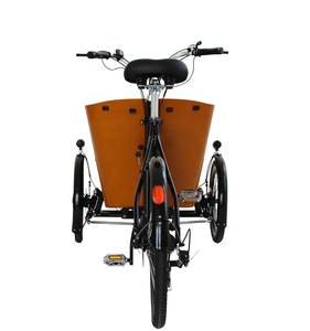 Tricycle électrique familial de 250 W pour enfants, bébés, chiens, animaux de compagnie avec boîte - Product Image 3