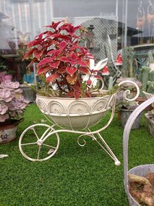 Couvre-<span class=keywords><strong>pot</strong></span> de fleurs en tôle de fer vieilli rétro pour pots de fleurs et jardinières - Product Image 2