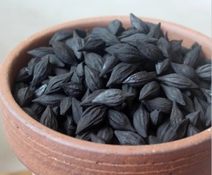 Olive / Black Olive / Longan / <b>Walnut</b> Hard Wood Briquette Charcoal for BBQ Without Smoking - Product Image 5