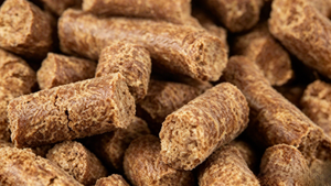Friandises pour chiens à base de graines de lin pressées à froid de qualité supérieure, naturelles et saines, riches en fibres, pour la santé intestinale et dentaire, adaptées à toutes les races. - Product Image 6