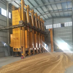 Xingang — sèche-Grain, 50t par jour, haute efficacité, ligne de Production