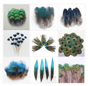 Divers types de plumes de paon naturelles pour la décoration de mariage, accessoires pour cheveux, décoration de fête, accessoires de pêche - Product Image 1
