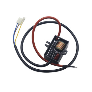 Allumeur à aiguille unique pour chaudière murale, dispositif d'allumage au gaz haute tension AC 220V, pièce de chauffe-eau - Product Image 1