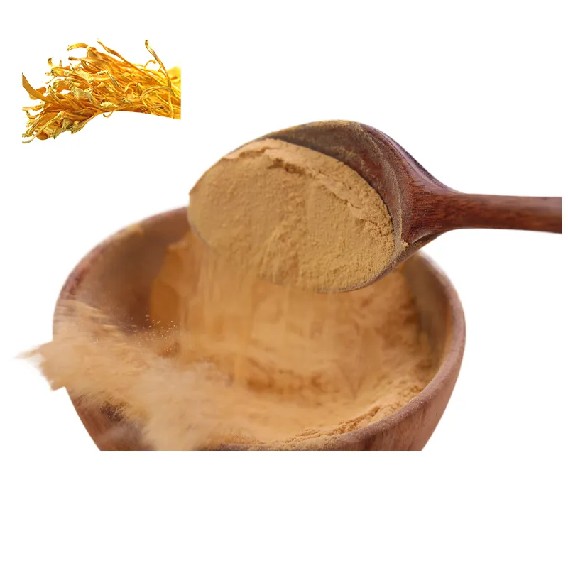 Poudre de peptide d'extrait de Cordycepin Cordyceps militaris