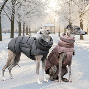 कुत्ते के कपड़े शरद ऋतु सर्दियों में गर्म पानी का सबूत ठोस दो पैर कपास-पंड कोट पालतू सामान - Product Image 1