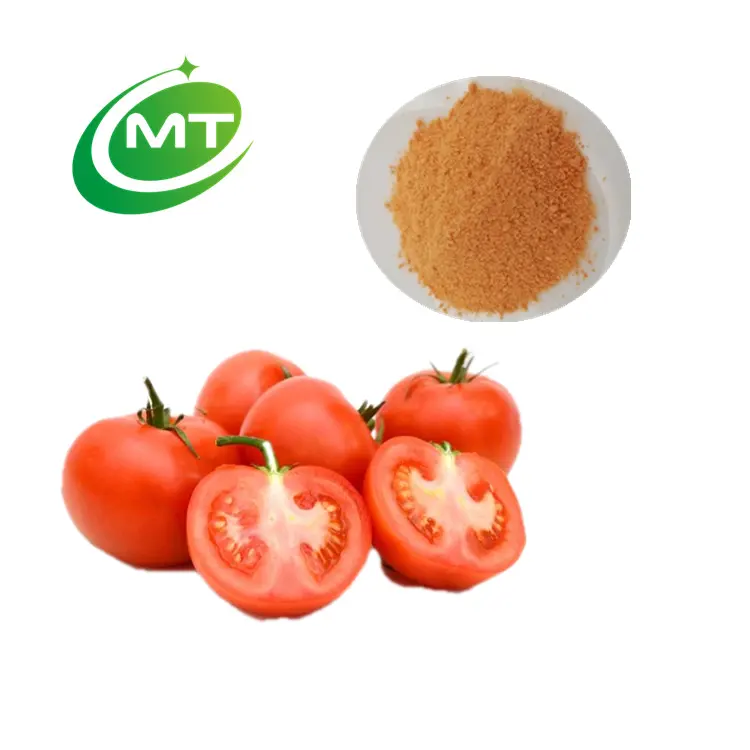 Sampel gratis bubuk ekstrak tomat organik 100% kualitas tinggi 10:1 bubuk tomat rasa yang baik massal