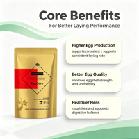 EggSure Additif Alimentaire Herbal pour Poules Pondeuses : Soutient la Santé Intestinale, Hépatique et Rénale, Prolonge le Pic de Production, Améliore la Qualité des Œufs