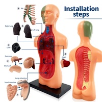 Kit Edukasi Struktur Manusia 3D Populer, Model Anatomi Organ Tubuh Manusia dari Plastik, Set Mainan Sains untuk Anak-anak