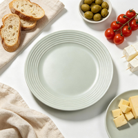 Assiettes de présentation plates classiques en céramique, design côtelé élégant, compatibles lave-vaisselle pour hôtels, restaurants et usage domestique