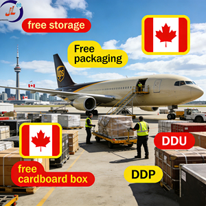 Transporte Aéreo Económico y Rápido Puerta a Puerta de China a Canadá, Soporte para Compras en Línea, Agente Logístico Puerta a Puerta DDP - Product Image 3
