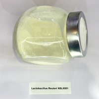 Poudre Probiotique Lyophilisée de Qualité Alimentaire à Base de Bactéries Lactobacillus Reuteri, 100 Milliards UFC/g, Approvisionnement en Vrac, Usine OEM ODM