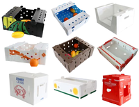 Boîte en Coroplast PP personnalisée, imprimée en couleur, emballage en plastique pour légumes, fruits, fraises