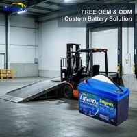 Batterie de chariot élévateur électrique au phosphate de fer et de lithium de qualité supérieure 24V 100AH pour centre de distribution, large plage de température, CE FCC