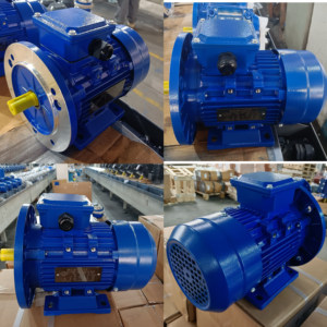 Générateur alternatif asynchrone triphasé à faible régime MS90L-4 1,5 kW 2 CV 1460 tr/min, moteur électrique à induction triphasé - Product Image 6