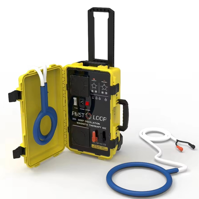 Portable for PMST for Loop OS Pemf Magnetic Therapy Device ABS for Horse 6000 Gauss Therapy Apparatus Therapy Emtt Device