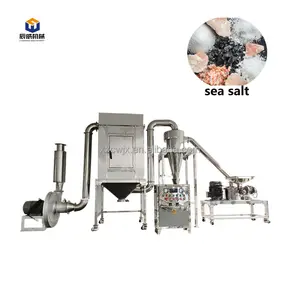 CW industrial galangal flower sugar salt powder making crusher air classifying mill superfine pulverizer machine