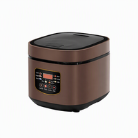 Autocuiseur Électrique Intelligent 5L pour Usage Domestique, Boîtier en Plastique Isolant, Programmation de Cuisson, Écran LCD, Cuisson Automatique, Idéal pour les Gâteaux