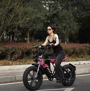 Vélo électrique tout-terrain 4LEAF 20 pouces, batterie au lithium 48V 18.6AH, cadre en alliage d'aluminium 500W, 7 vitesses, double frein - Product Image 2