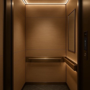 Ascensor Hidráulico de Diseño Moderno para Interiores/Exteriores, para Casas y Villas, Alternativa al Ascensor Eléctrico Otis para Hoteles - Product Image 5