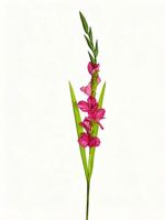 Arrangement de fleurs artificielles Gladiolus pour la vente en gros, décoration d'entrée pour mariage, hôtel, restaurant, café, fleurs artificielles