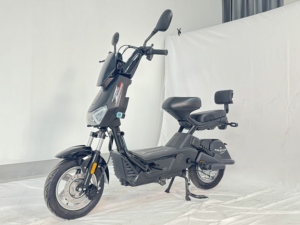 Nouvelle <span class=keywords><strong>moto</strong></span> électrique EEC 800w 48V 60v 20AH deux roues avec 2 places vélo électrique adulte 25kmh homologation en Europe - Product Image 5